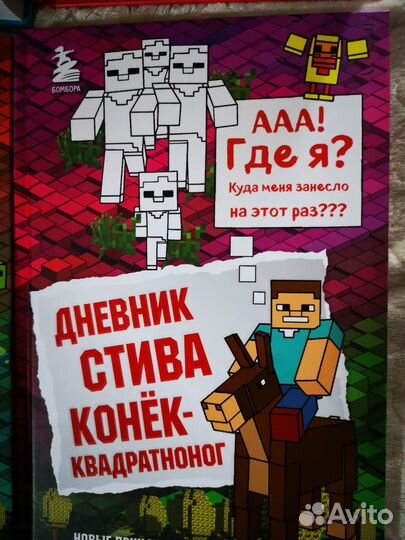 Книга дневник Стива
