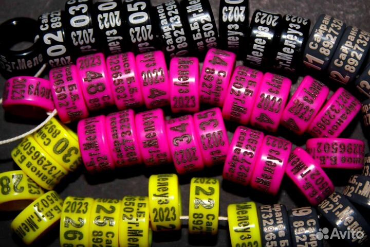 Кольцо на лапку голубя