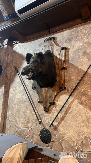 Чучела животных