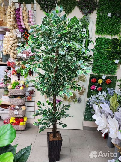 Искусственное дерево, фикус декоративный