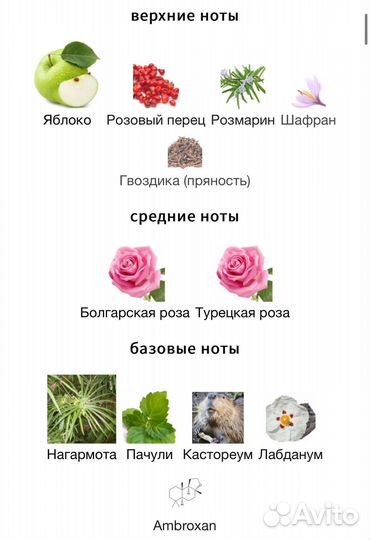 Frederic Malle Promise