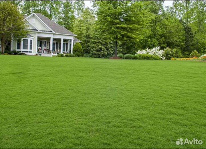 Рулонный газон с укладкой