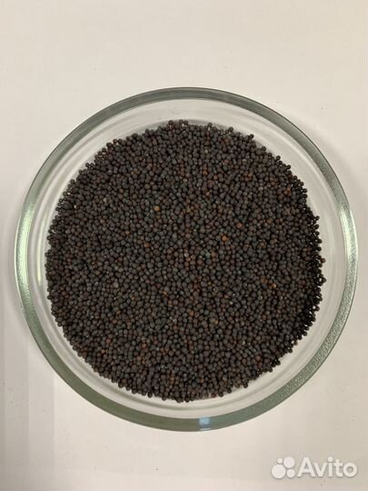 Капуста Китайская Пак-Чой белый стебель 100 гр