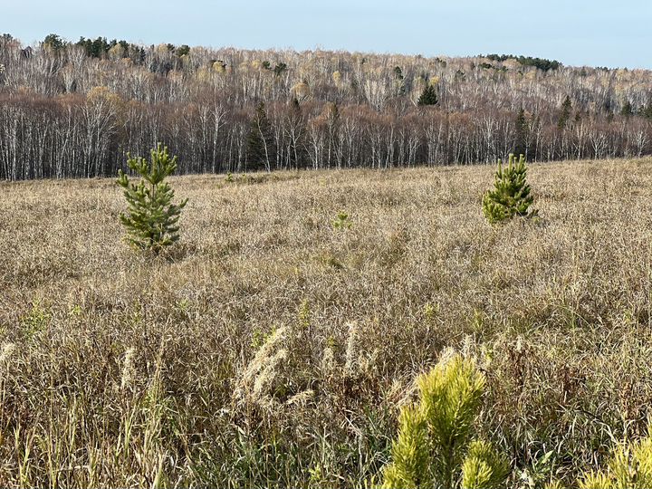 Участок 96 сот. (ИЖС)