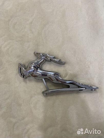 Олень на волгу 21