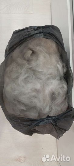 Собачья шерсть пух