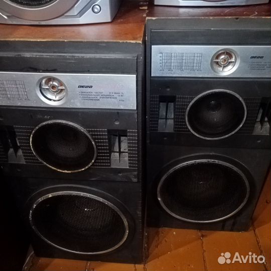 Компьютерные Колонки Вега 2х100вт 8ом