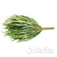 Веники для бани