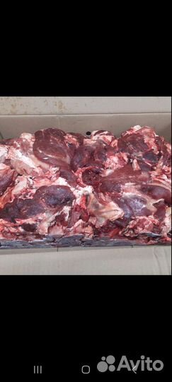 Мясо говядина