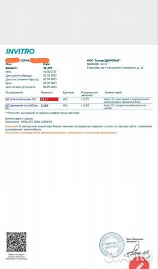 Трехцветная кошка