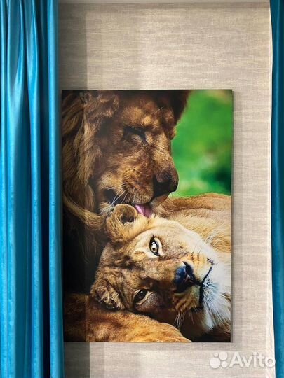 Картина лев