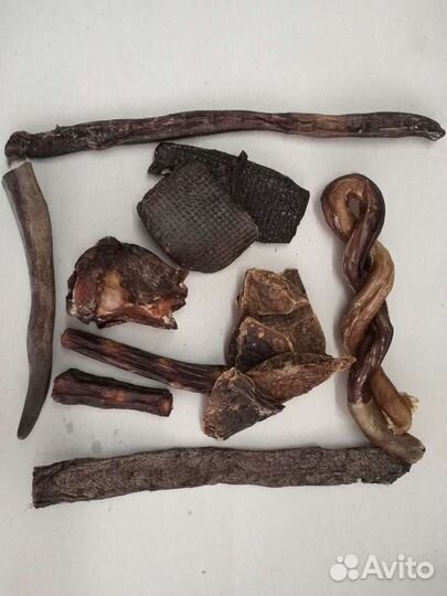 Корма для собак и кошек