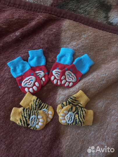 Носочки для собак и кошек