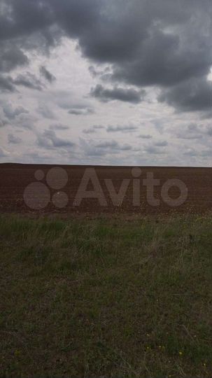 Участок 47,3 сот. (СНТ, ДНП)
