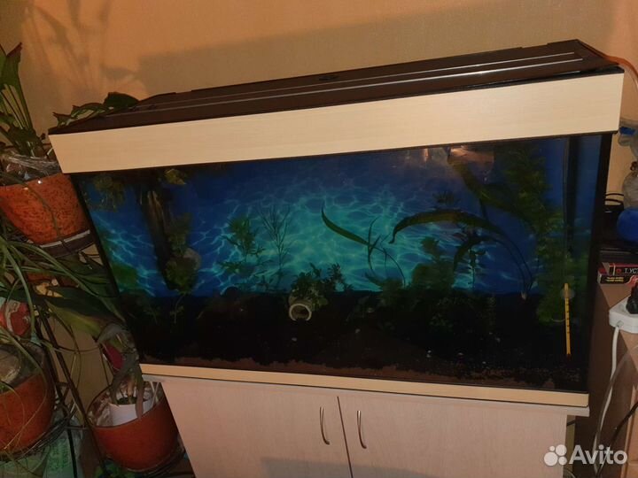 Аквариум 200 л (90 х 55 х 35)