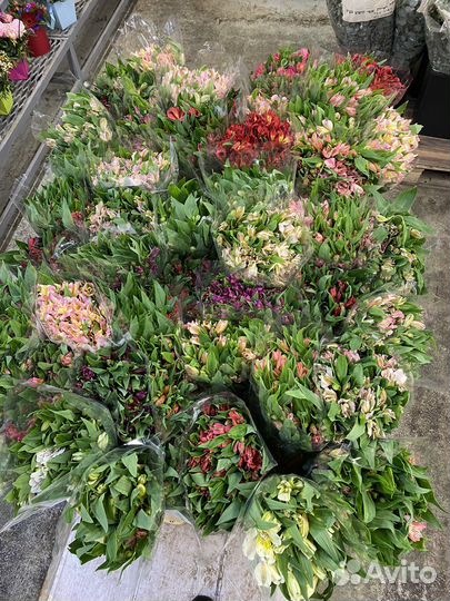 Букет из Альстромерии