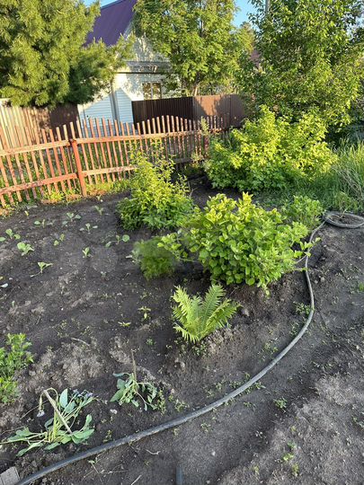 Дача 50 м² на участке 6 сот.