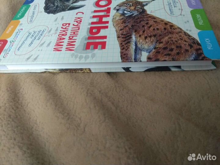 Все животные (с крупными буквами)