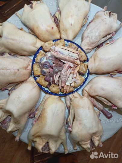 Гусиное мясо