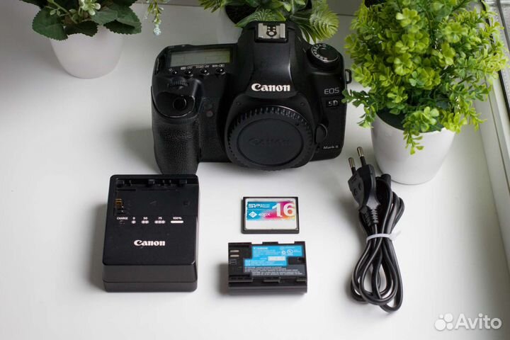 Canon 5D Mark II
