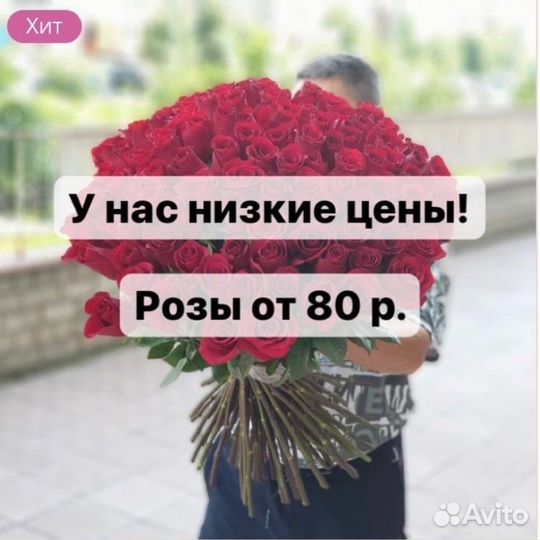Альстромерия букет Альстромерии Доставка цветов