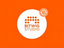 Bitwig Studio 12 UPG (оф.дистр.не залочат)