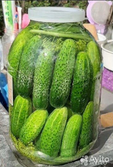 Огурчики соленые