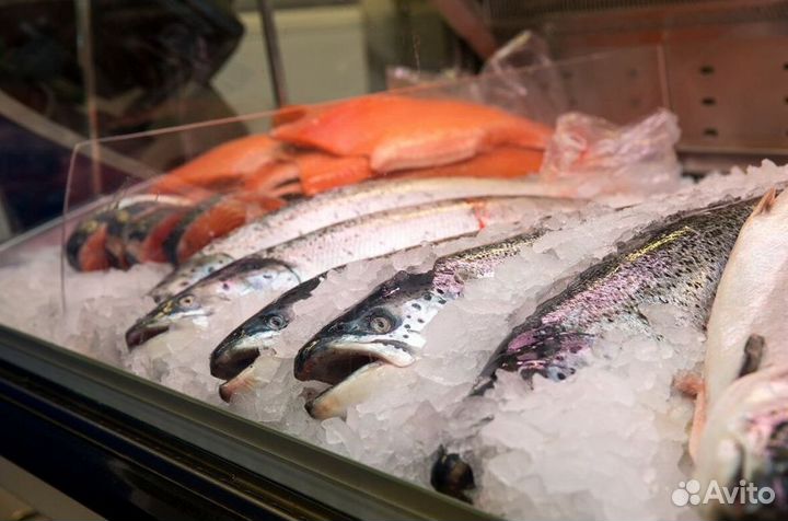 Франшиза: доход с первого дня