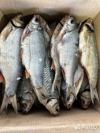 Язь вяленый