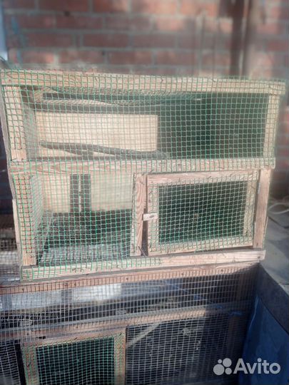 Клетка- брудер