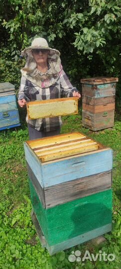 Продукты питания