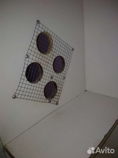 Витрина для шиншилл бу