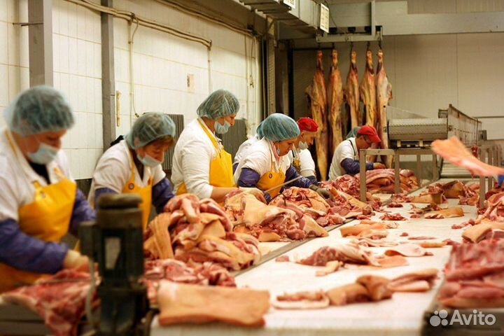 Разнорабочие 3500 на мясокомбинат вахта в воронеж