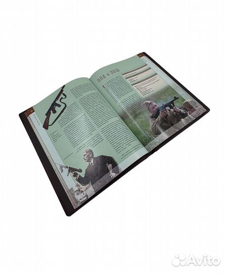 Огнестрельное оружие мира. В кожаном переплете