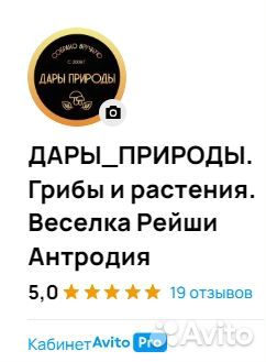 Дары/П Гриб рейши от 