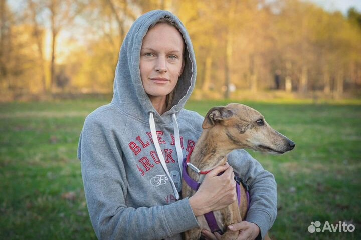 Услуги кинолога с выездом