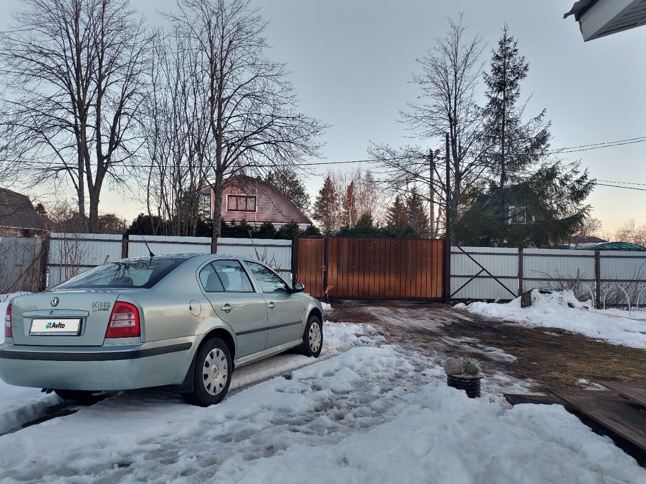 Skoda Octavia: фото владельца
