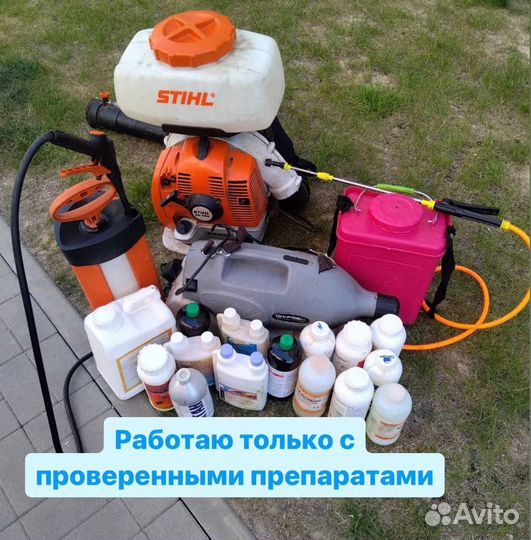 Уничтожение клопов, тараканов, грызунов