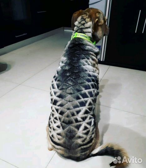 Стрижка собак (Профессиональный груминг)