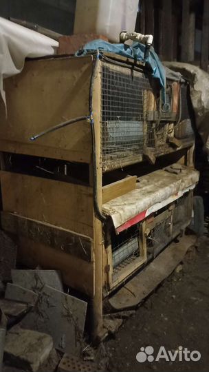 Клетка для кролика