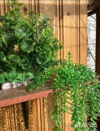 Аквариумные растения искусственные