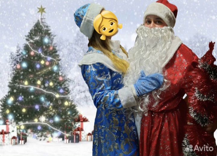 Дед мороз и Снегурочка на дом