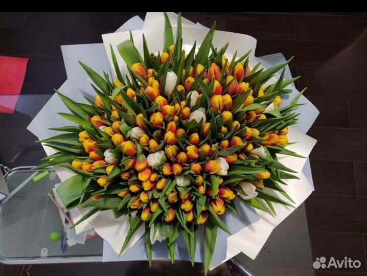 Луковица тюльпанов оптом 12;14+для выгонки