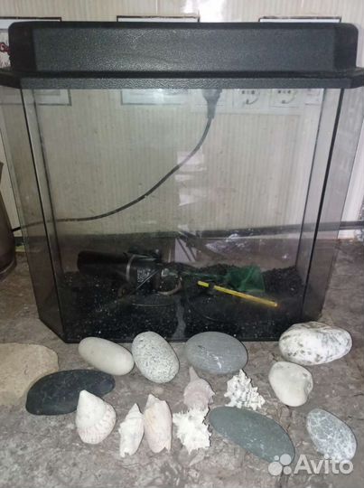 Аквариум