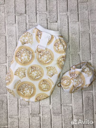 Одежда для маленьких собак