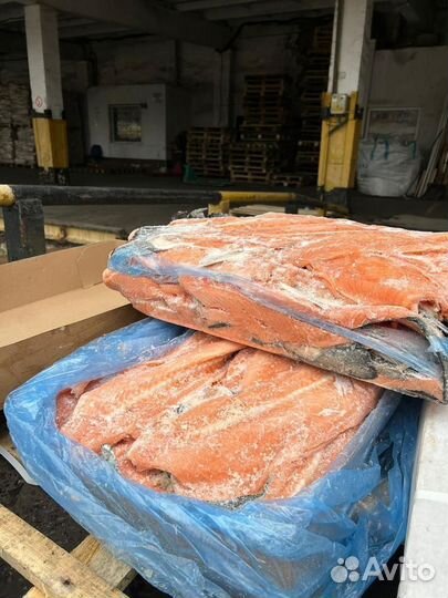 Лещ с/м 800-1500 1500+