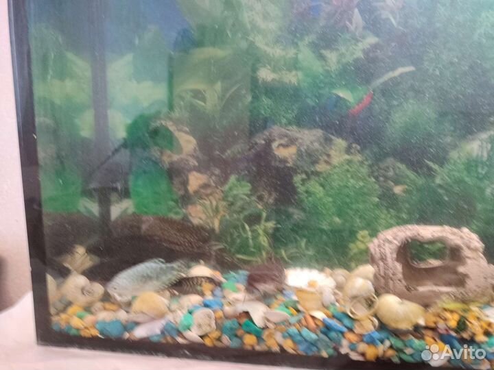 Аквариум