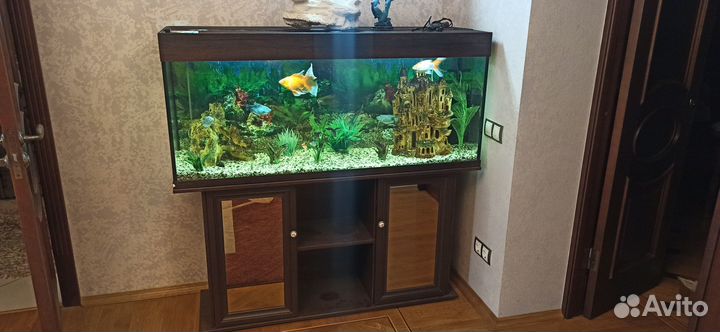 Аквариум