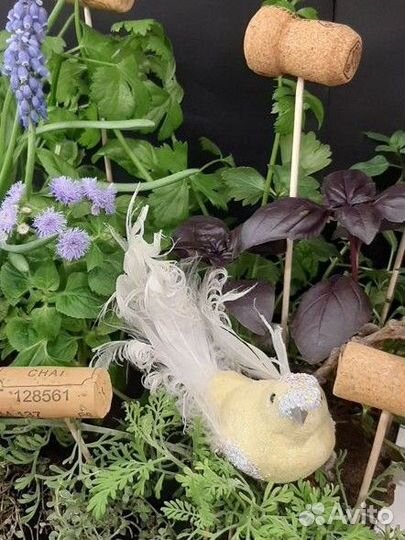 Садик пряных трав