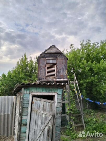 Голубятня продажа